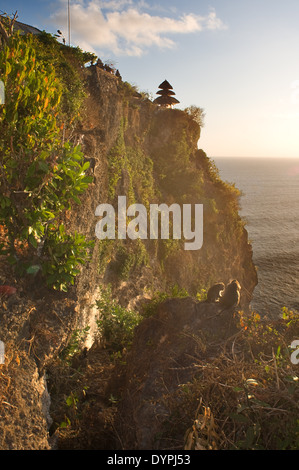 Neben der Ulu Watu Tempel Pura Luhur Klippen. Bali. Uluwatu Tempel ist ein Hindu-Tempel am Kliff Ufer im südlichen Teil von Bal Stockfoto