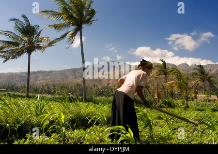 Campingplätze in der Nähe von Dorf Amed Ost Bali Fischereikultur. Amed ist ein lange Küstenstreifen der Fischerdörfer in Ost-Bali. Amed Stockfoto