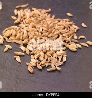 Fenchelsamen auf Schiefer Hintergrund, Studioaufnahme Stockfoto