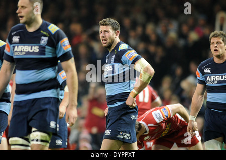 RaboDirect Pro 12 - Judgement Day im Millennium Stadium in Cardiff - Llanelli Scarlets V Cardiff Blues Rugby. Stockfoto