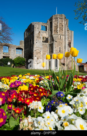 Die Schlossgärten in Newark on Trent, Nottinghamshire, England UK Stockfoto