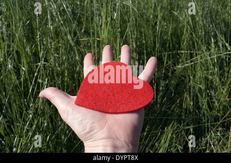 Offene Hand eines Mannes mit einem roten Herzen Stockfoto