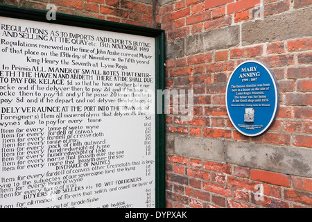 15. Jahrhundert Vorschriften für Importe und Exporte, Lyme Regis Museum (auf dem Gelände Mary Annings nach Hause und fossilen Shop), Dorset Stockfoto