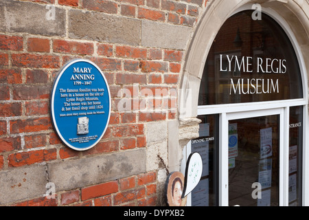 Das Museum in Lyme Regis, Dorset UK - auf der Website des Heim- und fossilen Shop des berühmten dominanten Mary Anning Stockfoto