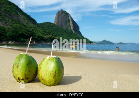 Zwei frische Coco Gelado trinken Kokosnüsse auf roten Strand Praia Vermelha am Zuckerhut Rio De Janeiro Brasilien Stockfoto