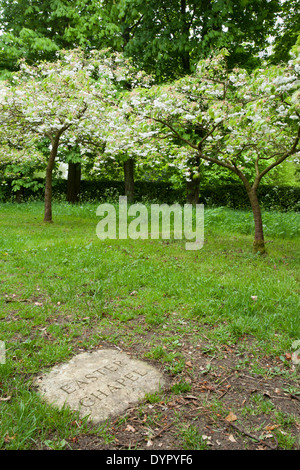 Eine steinerne Gedenktafel markiert den Eingang zum Oster-Kapelle mit blühenden Kirschbäume Bäume im Hintergrund in Whipsnade Baum Kathedrale, Bedfordshire, England Stockfoto