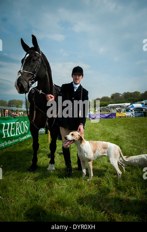 Jäger mit Pferd und Hund bei der alten Berkshire Jagd Point to Point Rennen Treffen im Jahr 2014 Stockfoto