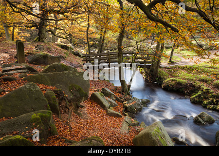 Holzsteg kreuzt die schnell fließenden Gewässern von Burbage Bach unter den Farben des Herbstes, Yarncliff Holz, padley Schlucht, Peak District, England Stockfoto