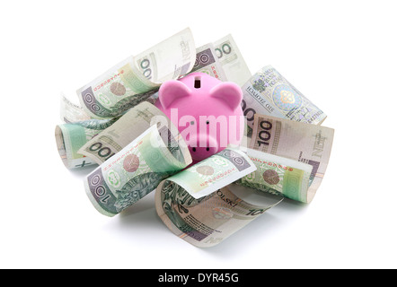 Sparschwein mit polnischen Geld. Clipping-Pfad enthalten. Stockfoto