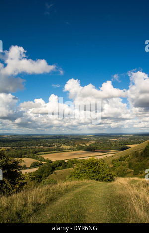 Blick auf die Sussex Weald von Rackham Hügel in den South Downs National Park in West Sussex. Stockfoto