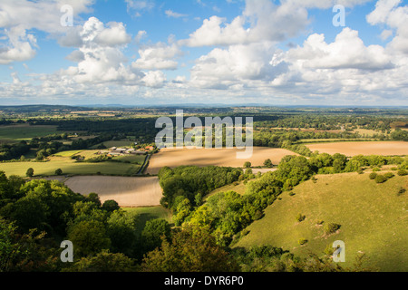 Blick auf Rackham und Sussex Weald von den South Downs in West Sussex. Stockfoto