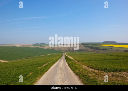 Eine kleine Landstraße läuft durch Burdale in der landwirtschaftlichen Landschaft der Yorkshire Wolds im Frühling. Stockfoto