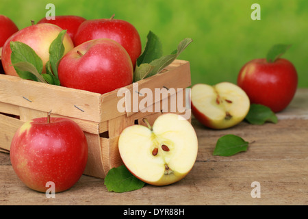 Äpfel mit Blättern in einer Holzkiste auf einem Tisch mit grünem Hintergrund Stockfoto