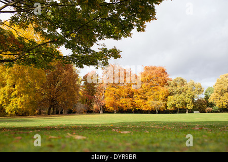Eine wunderschöne Herbstlandschaft in Surrey, Großbritannien Stockfoto