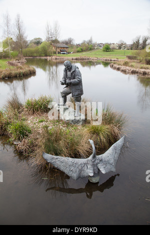 Statue von Sir Peter Scott am Eingang zum London Wetland Centre Stockfoto