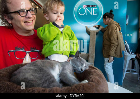 New York, USA. 24. April 2014. Purina ONE eröffnet heute die erste jemals Cat Cafe "in Amerika, bringen das katzenartige Phänomen bereits populär in Europa und Asien in die Staaten. Im Cat Cafe "von Purina ONE Besucher genießen"cat'achino,"Zeit zu verbringen und das Lernen über Katze Am 168 Bowery, Cat Cafe "ist noch bis Sonntag, den 27. April für Menschen, für Kaffee und Katze ausgerichtete Gespräch vorbeikommen. Bildnachweis: Scott Houston/Alamy Live-Nachrichten Stockfoto