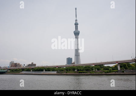 Skytree Turm und Sumida-Fluss, Tokyo, Japan Stockfoto