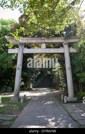 Torii-Tor am Hikawa-Schrein, Tokyo, Japan Stockfoto