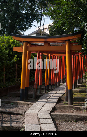 Torii-Tore im Nezu Schrein in Nezu, Tokyo, Japan Stockfoto