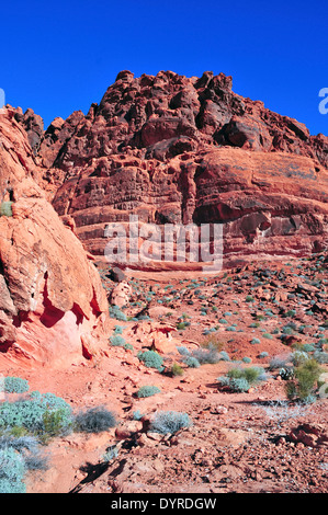 Roten Felslandschaft im Südwesten der USA, Nevada Stockfoto