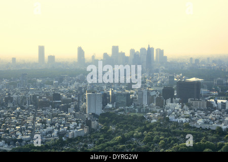 Blick über Tokyo aus Tokyo City View in Roppongi Hills Mori Tower Tokyo, Japan Stockfoto