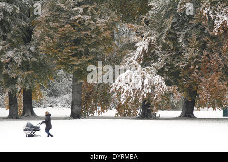 Der erste Schnee im englischen Garten in München, 2012 Stockfoto