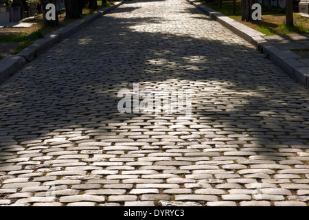 Gepflasterte Straße Stockfoto