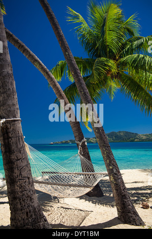 Leere Hängematte zwischen Palmen am tropischen Strand in Fidschi Stockfoto