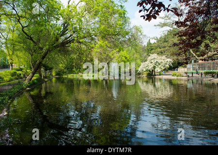 Das Arboretum-Park, Nottingham Stadt Nottinghamshire England UK Stockfoto