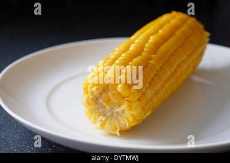 Maiskolben auf einem kleinen einfachen weißen Teller Stockfoto