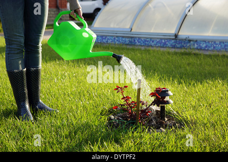 Frau, die Blumen im Garten gießen Stockfoto