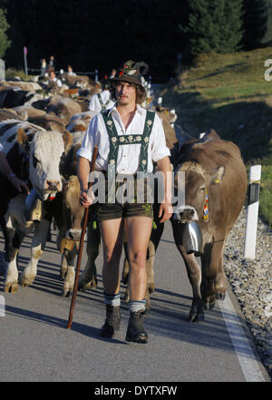 Der Viehscheid (Rückkehr der Kühe aus ihren Sommerweiden) Stockfoto