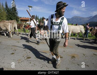 Der Viehscheid (Rückkehr der Kühe aus ihren Sommerweiden) Stockfoto