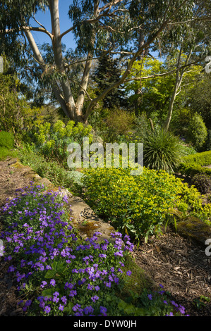 Blumenbeete im italienischen Garten bei Borde Hill in der Nähe von Haywards Heath, West Sussex, UK Stockfoto