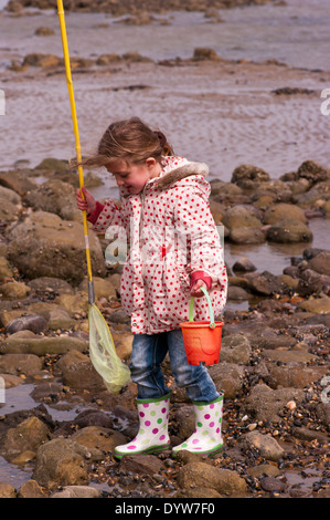 Vordere Ansicht der A 5 Jahr alt Kind Angeln Felsenpools mit einem Fishing Net Stockfoto