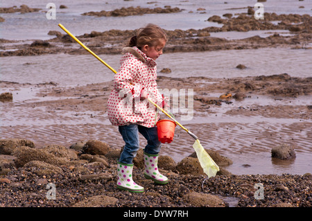 Seite Ansicht von A 5 Jahr alt Kind Angeln Felsenpools mit einem Fishing Net Stockfoto