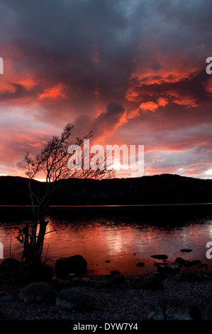 Waldbrand bei Sonnenuntergang über Loch Ness Stockfoto