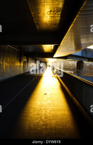 Wien, Brücke Reichsbruecke, Österreich, 22. Bezirk, Donaucity Stockfoto