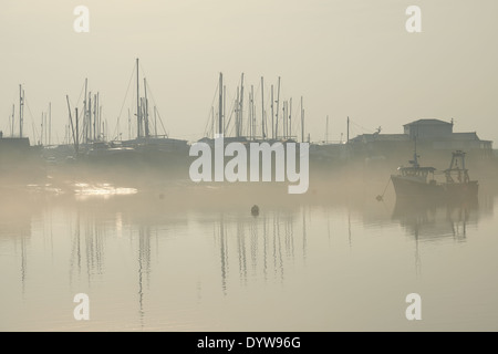 Meer Nebel rund um das Dorf von Felixstowe Fähre an den Ufern des Flusses Deben, Suffolk, UK. Stockfoto