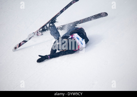 Lisa Zimmermann (GER) im Wettbewerb mit der Damen Ski Slopestyle auf die Olympischen Winterspiele Sotschi 2014 Stockfoto