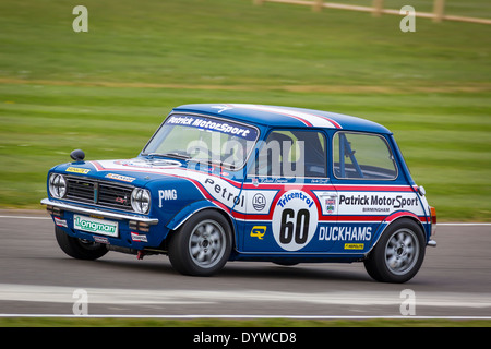 1979 Mini 1275 GT mit Fahrer Nick Swift während Gerry Marshall Trophy Rennen, Goodwood, Sussex, UK. Stockfoto