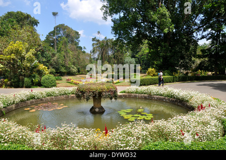 Königliche Botanische Gärten, Peradeniya, Sri Lanka Stockfoto
