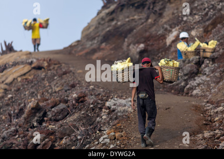 Männer tragen Körbe beladen mit Blöcken von Schwefel, Bereich der Kawah Ijen, Banyuwangi Regency, Ost-Java, Indonesien Stockfoto