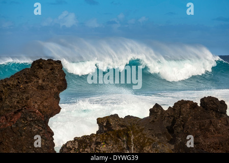 Die großen und spektakulären Wellen am Hookipa Beach in der Nordküste von Maui. Stockfoto