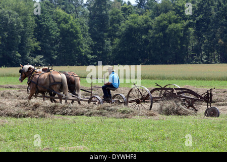 Punxsutawney, USA, Bauer der Religionsgemeinschaft Amish Leute im Heu Stockfoto