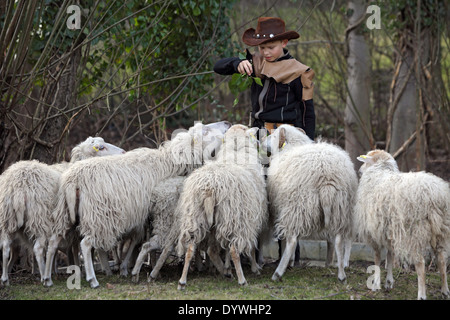 Berlin, Deutschland, Schafe, die Rasse Skudde neugierig um einen jungen mit Cowboy-Hut versuchen würde Stockfoto