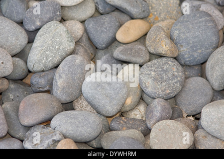 Fluss-Felsen-Sammlung Stockfoto