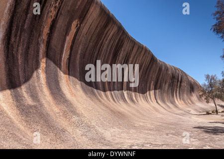 Wave Rock. Diese unglaubliche natürliche Felsformation in der Nähe von Hyden in Westaustralien sieht aus wie eine ozeanische Welle. Stockfoto