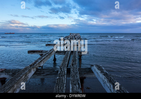 Alten Pier. Magellan Straße. Punta Arenas. Patagonien. Chile Stockfoto