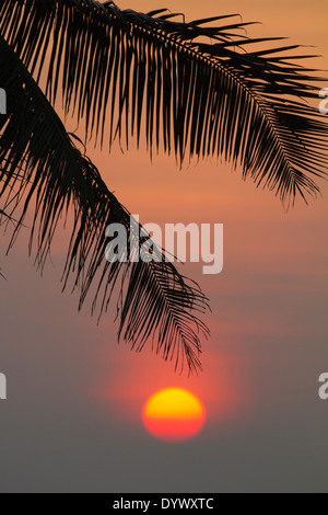 Sonnenuntergang über den Palmen an der Wadduwa Hotel, Sri Lanka 2 Stockfoto